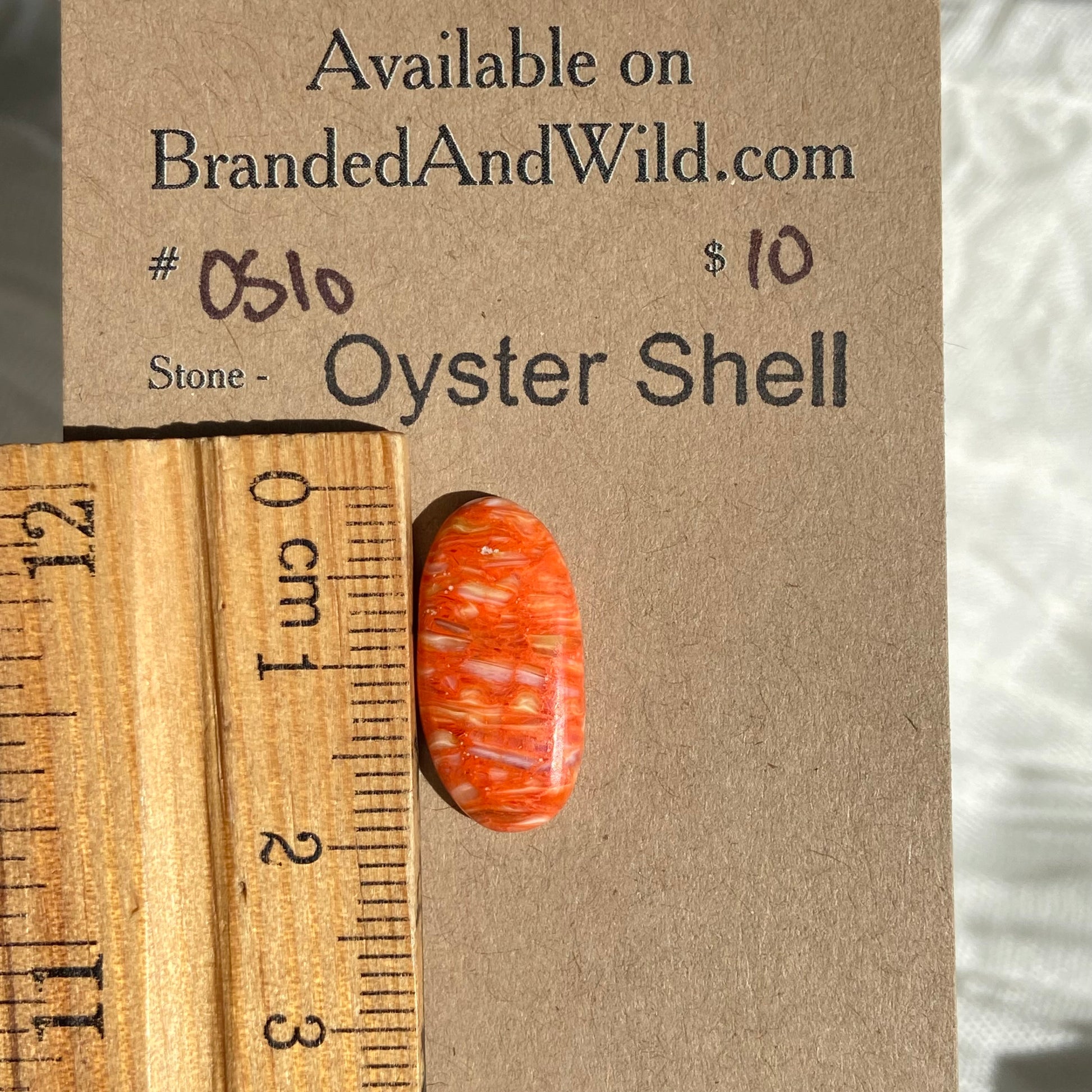 Oystershell Cabochon - OS10 DEDCA2BA-3F4F-47CD-9846-A81931389AD3 Brandedandwild.com