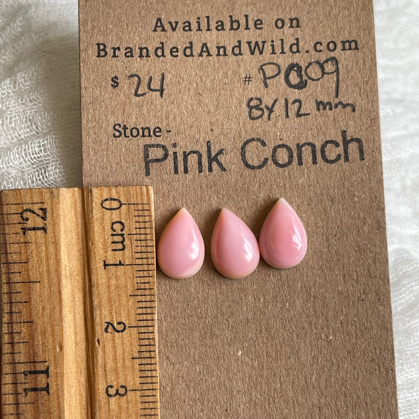 Pink Conch Cabochon - PC09