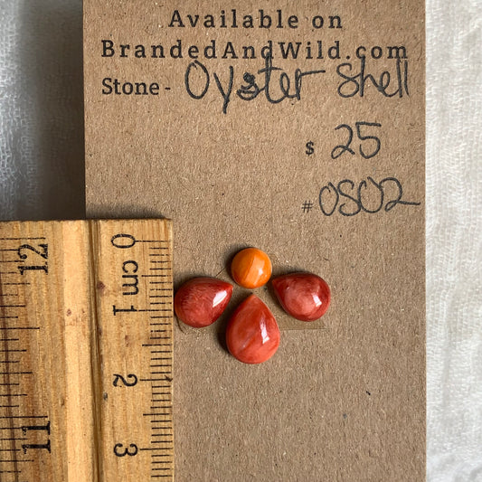 Oystershell Cabochon - OS02
