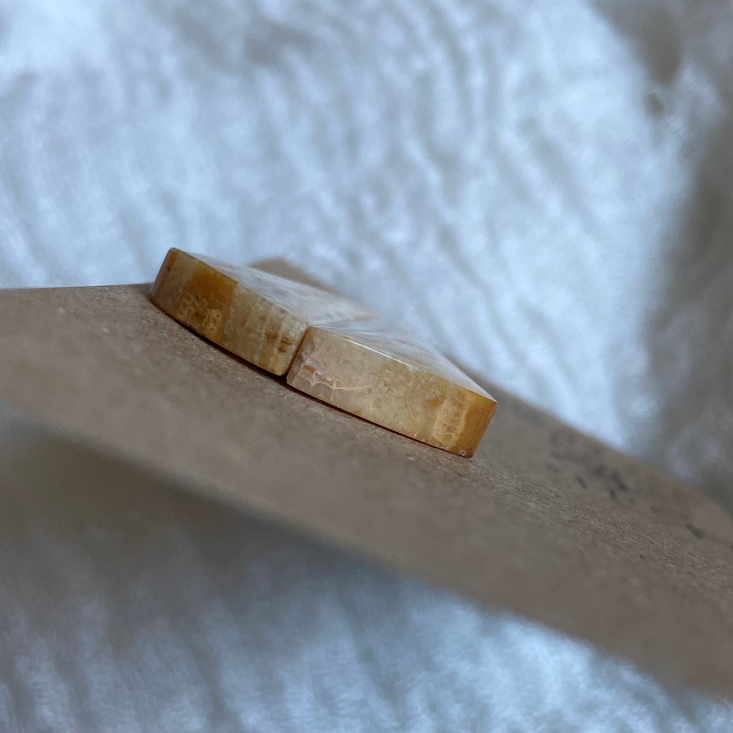 Fossil Coral Cabochon - FC99