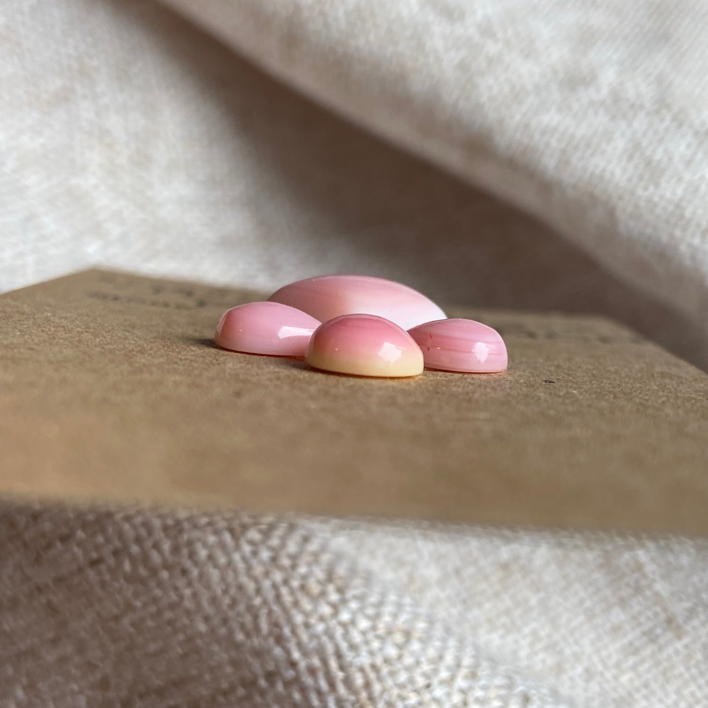 Pink Conch Cabochon - PC28 DF4F09BB-1F89-4190-AA45-D1FB62F6B257 Brandedandwild.com