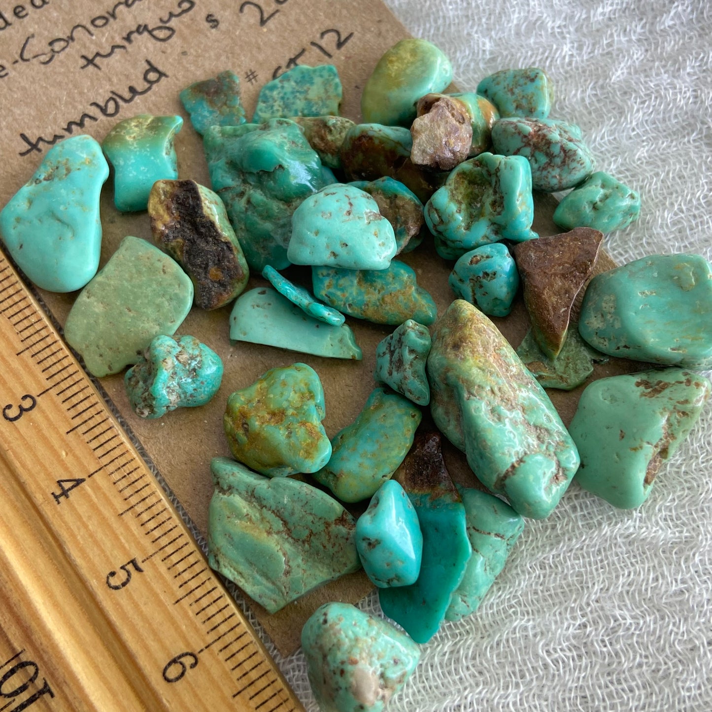 Rough Tumbled Sonoran Gold Turquoise - #ST12
