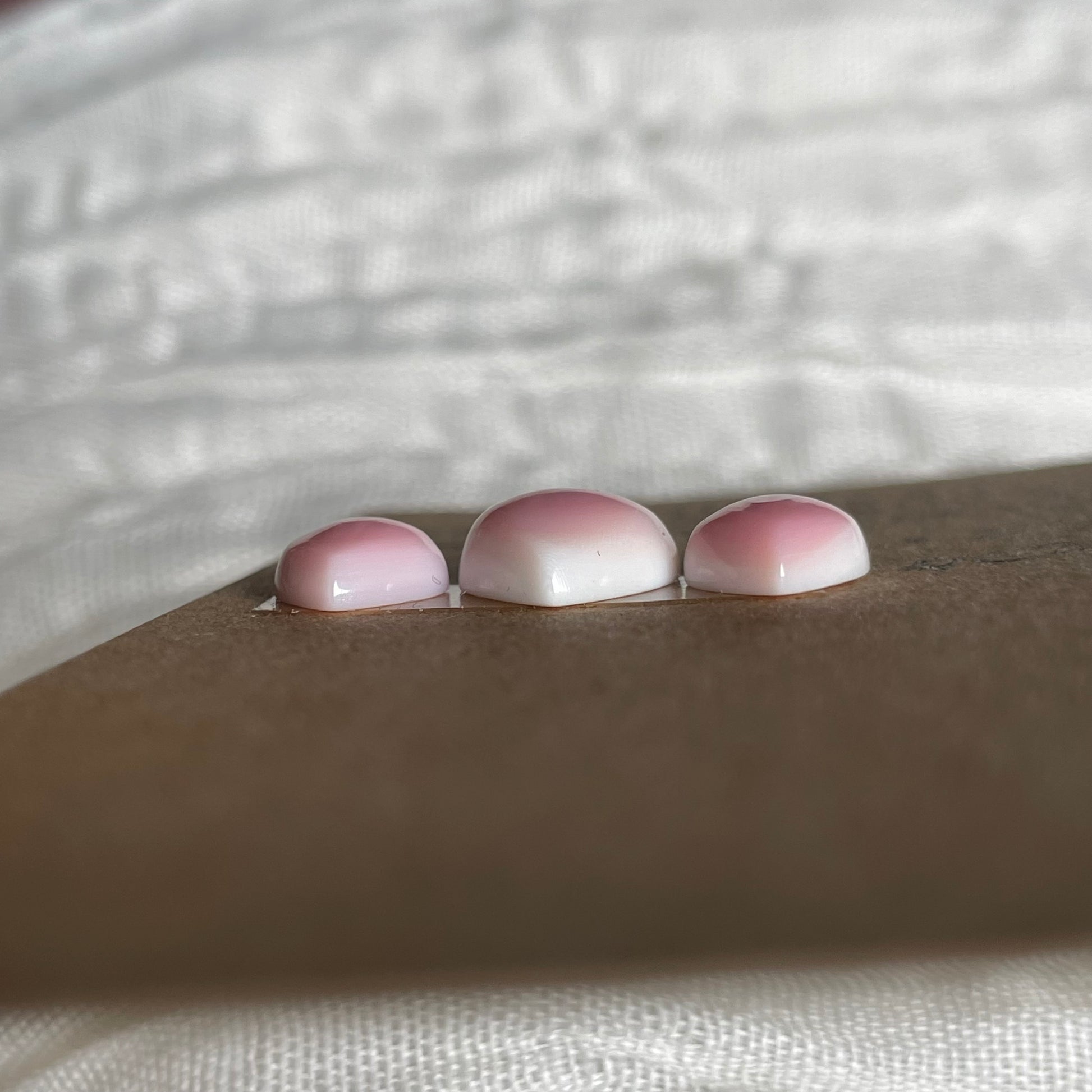 Pink Conch Cabochon - PC22 DF88641B-021E-491D-911B-55A4FF280AA3 Brandedandwild.com