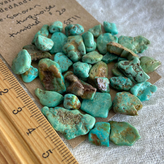 Rough Tumbled Sonoran Gold Turquoise - #ST11