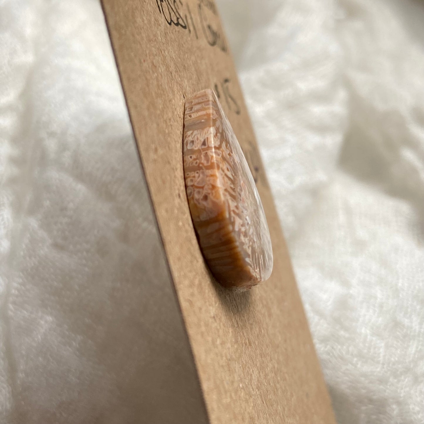 Fossil Coral Cabochon - FC41