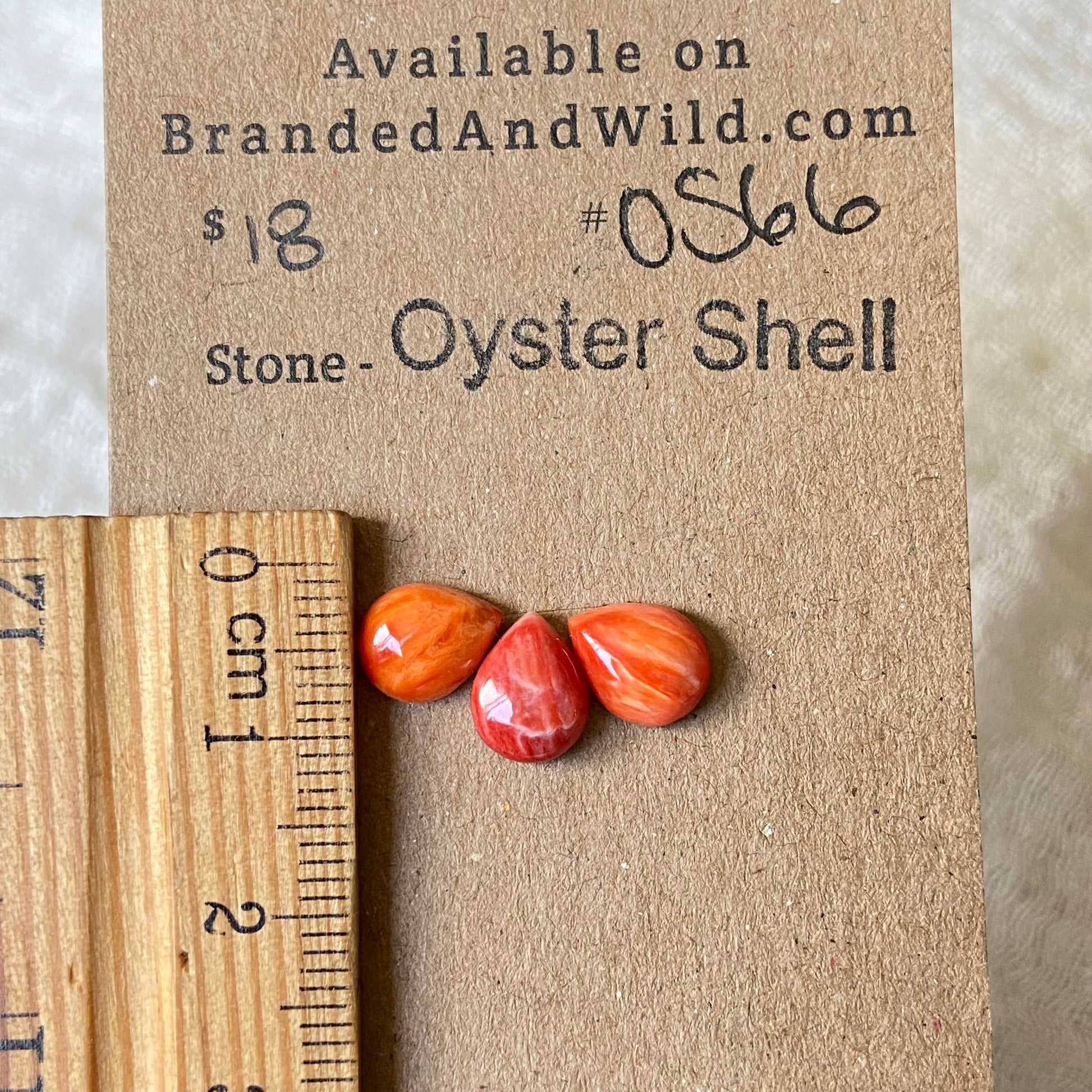 Oystershell Cabochon - OS66 DFAFAF1D-9C65-4D78-B7F9-6EE2A55591B5 Brandedandwild.com