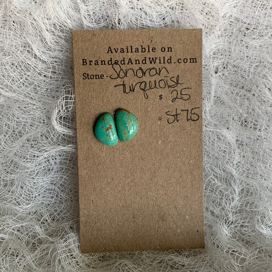 Sonoran Turquoise Cabochon - ST75