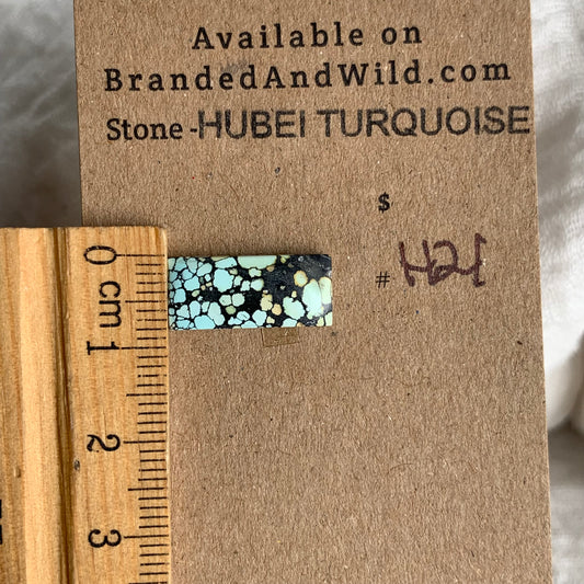 Hubei Turquoise Cabochon - H21