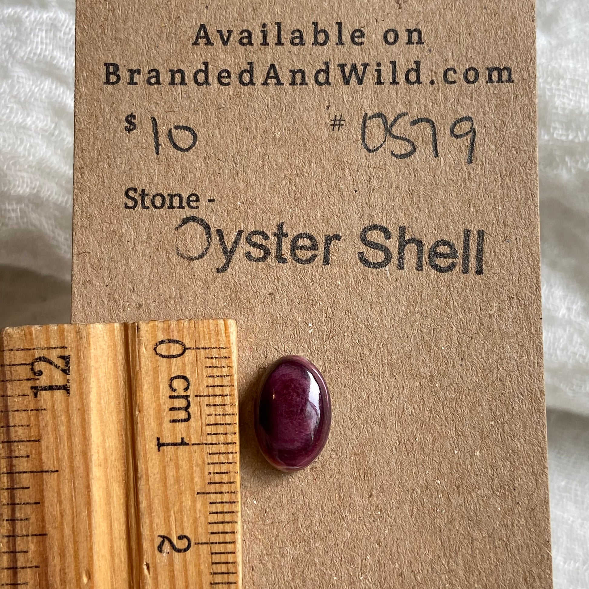 Oyster Shell Cabochon - OS79 DFD303FB-C312-4A43-9284-49BC0117A0F0 Brandedandwild.com