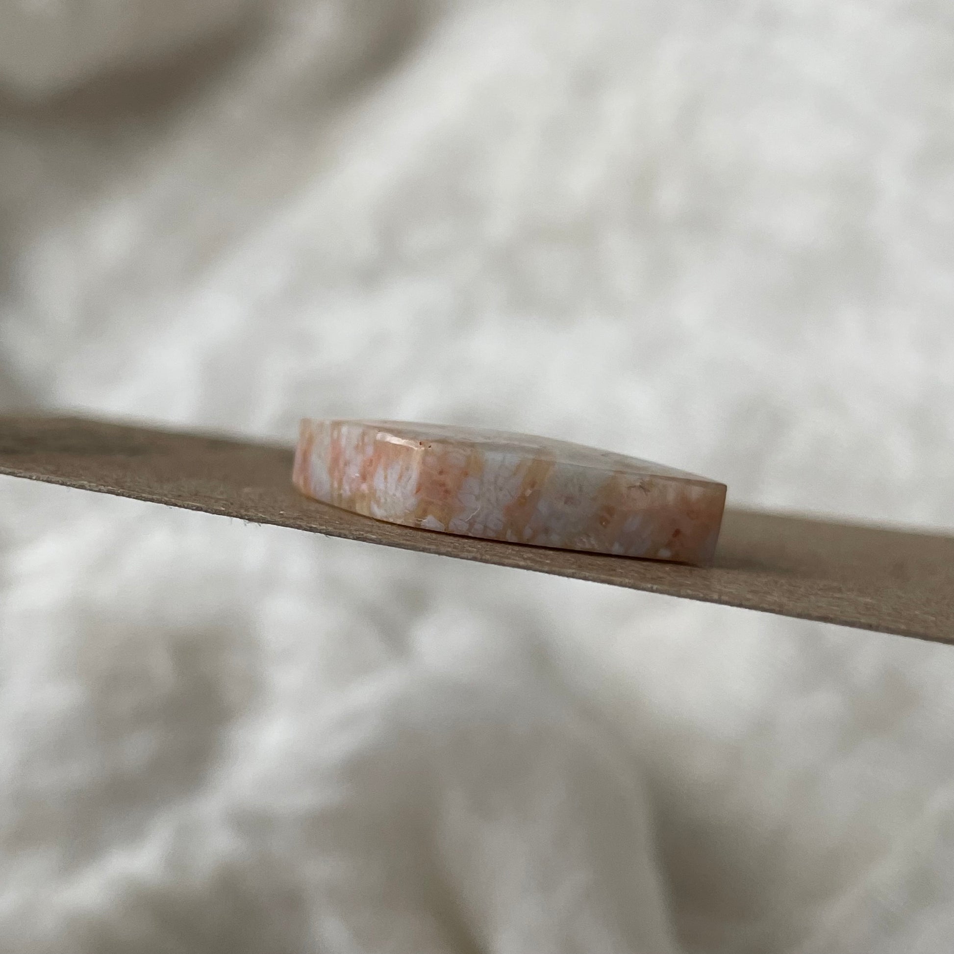 Fossil Coral Cabochon - FC99 DFE76E14-C75D-4E69-9E4F-ADCB95376FD5 Brandedandwild.com