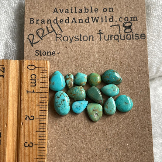 Royston Turquoise Cabochon - RR41 DFFC92D7-0ED7-4ED7-957A-2C8DB708D046 Brandedandwild.com