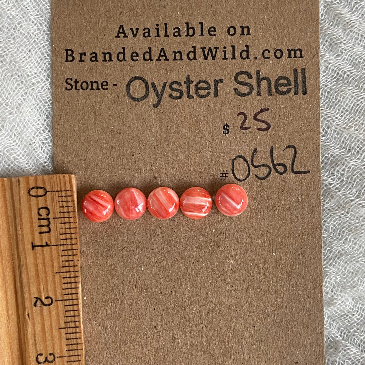 Oyster Shell Cabochon - OS62