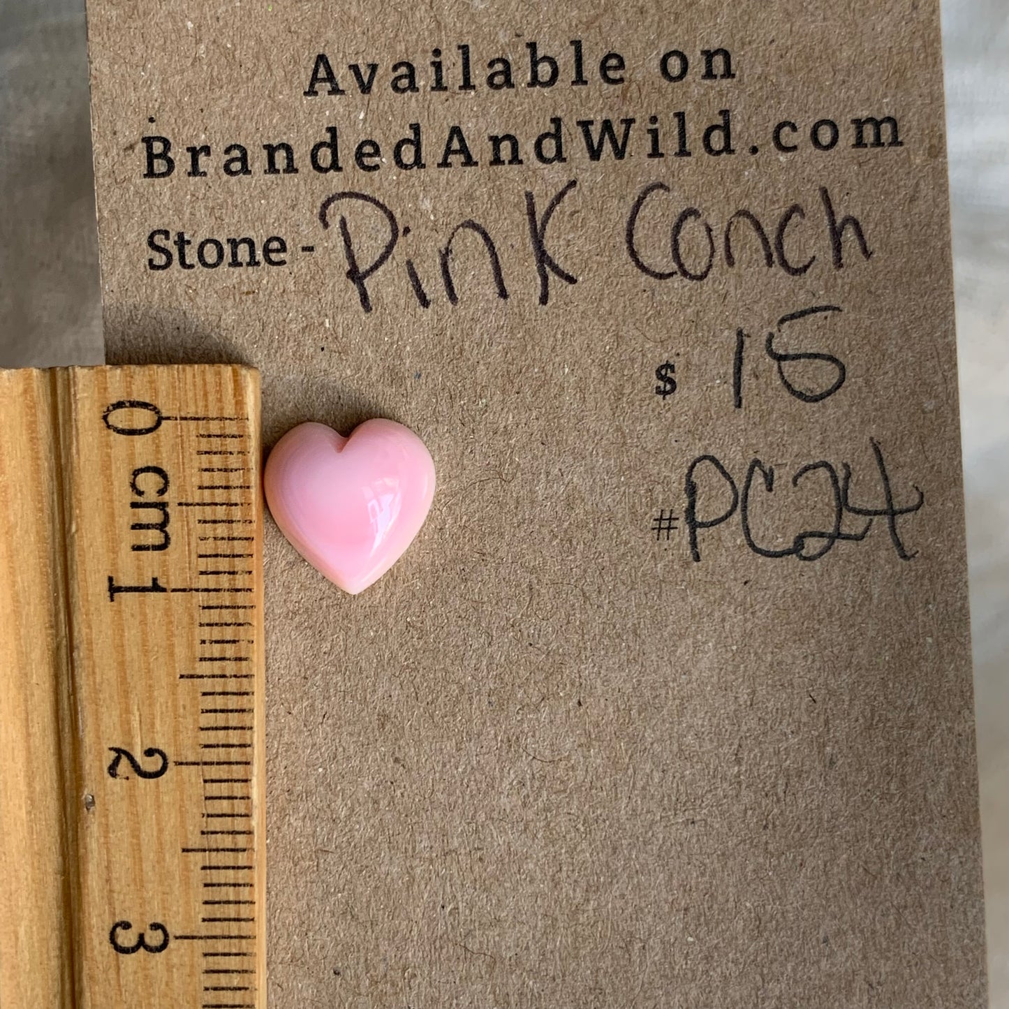 Pink Conch Cabochon - PC24