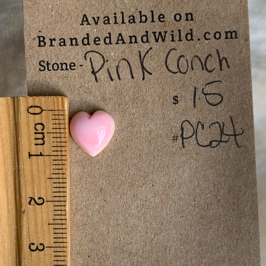 Pink Conch Cabochon - PC24
