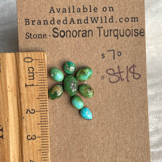 Sonoran Turquoise Cabochon - ST18