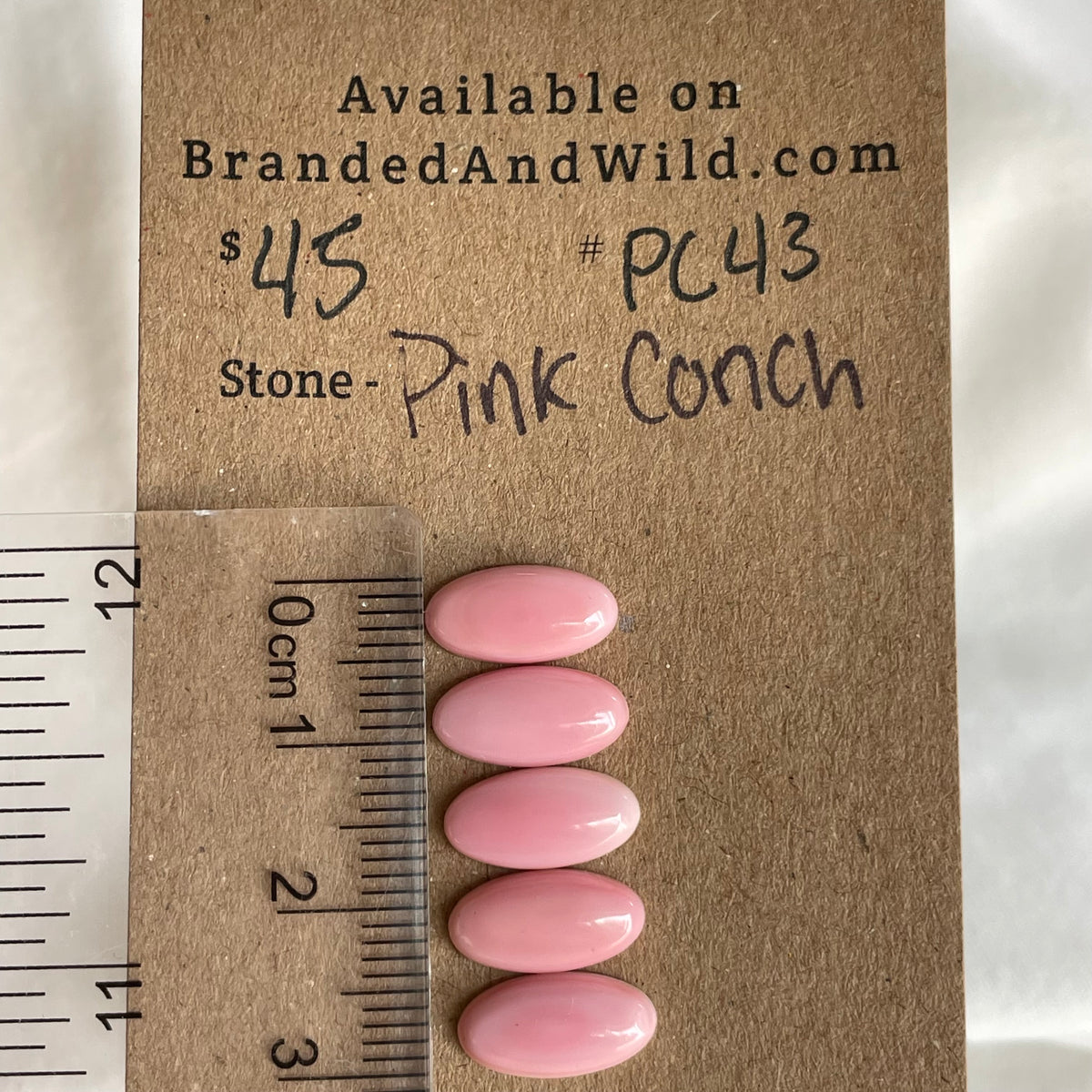 Pink Conch Cabochon - PC43 E06C413C-89E2-49EB-8AF4-D02506691D89 Brandedandwild.com