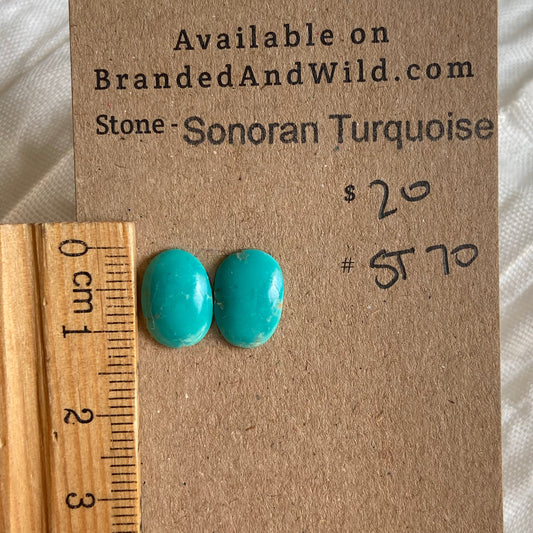 Sonoran Turquoise Cabochon - ST70 E082AC9D-5569-4B4E-8F4B-D8925EEC45AB Brandedandwild.com