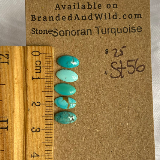 Sonoran Turquoise Cabochon - ST56