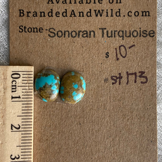 Sonoran Turquoise Cabochon - ST173