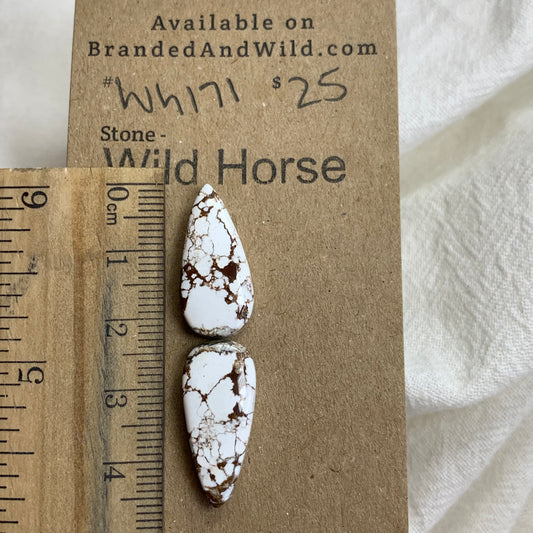 Wild Horse Cabochon - WH171 E0AD9082-EFBA-4935-8E18-014BED55879A Brandedandwild.com