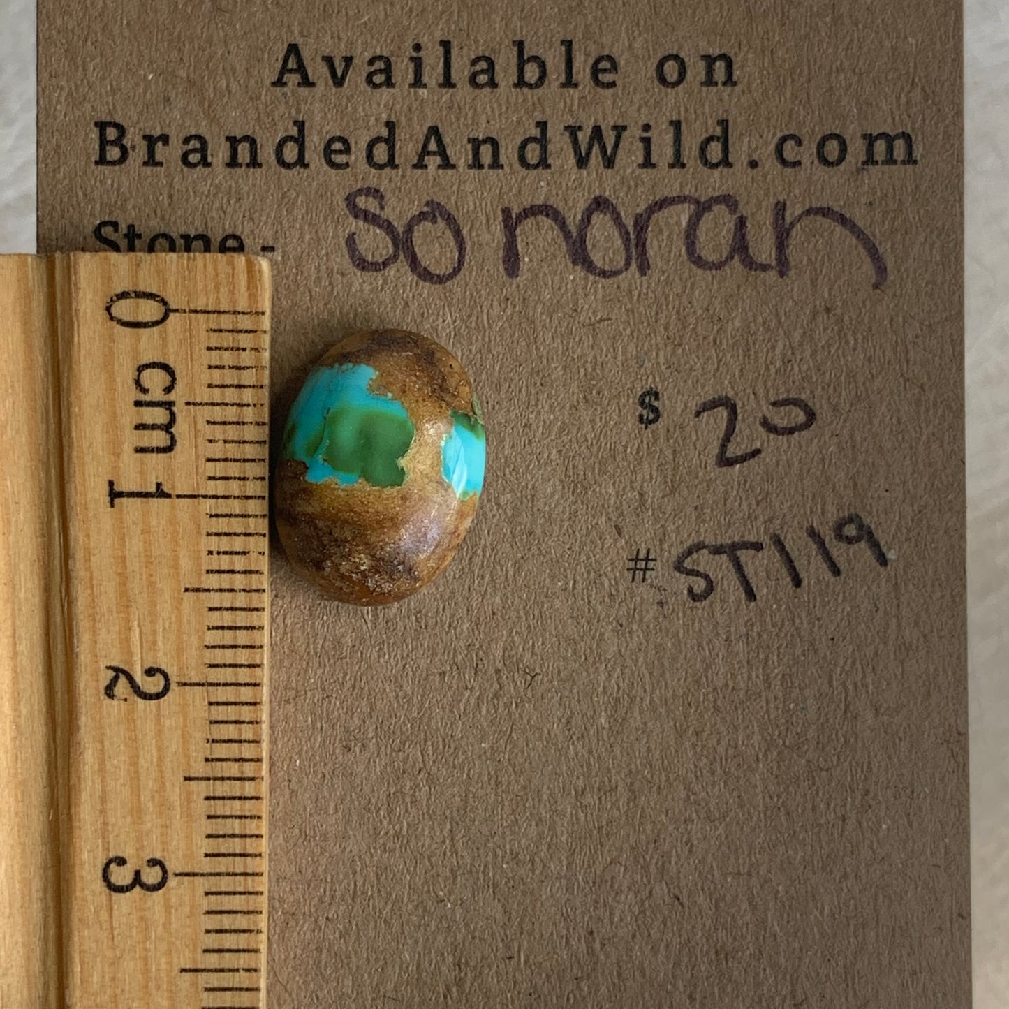 Sonoran Turquoise Cabochon - ST119