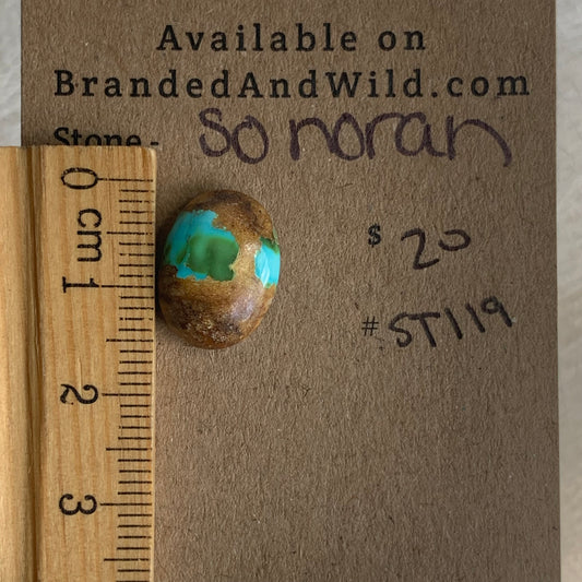Sonoran Turquoise Cabochon - ST119