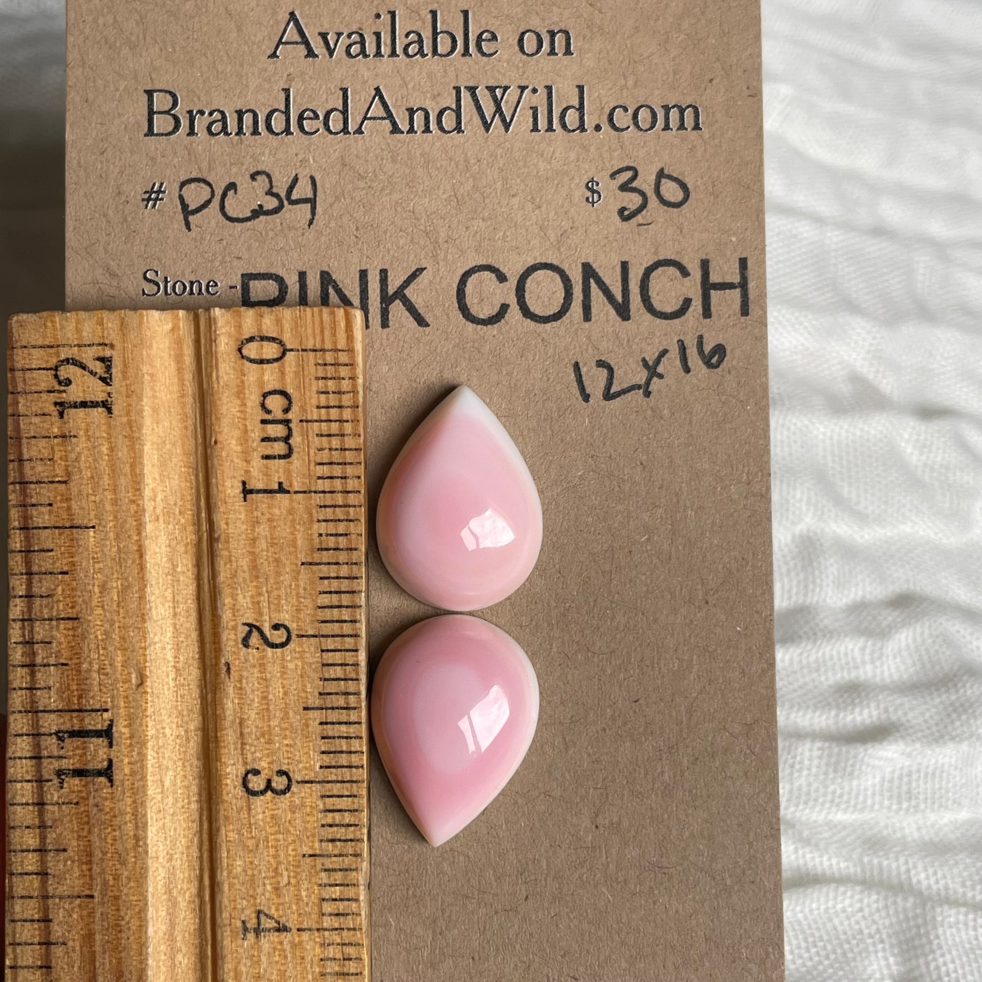 Pink Conch Cabochon - PC34 E0D42098-F0AA-4CE7-B160-A7253BBADE4E Brandedandwild.com