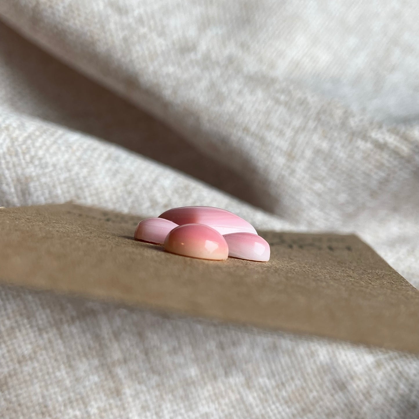 Pink Conch Cabochon - PC01 E0D694F6-D143-4D96-B49A-C1DF16C832D2 Brandedandwild.com