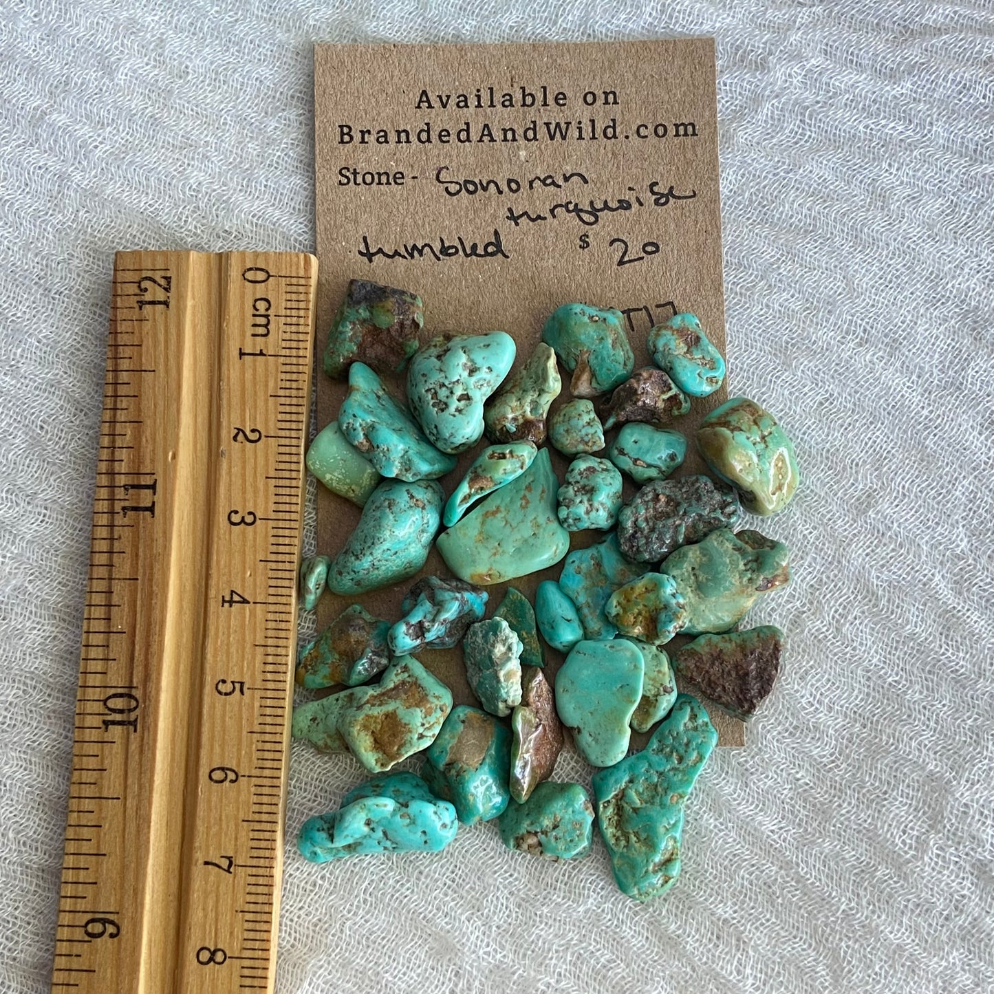 Rough Tumbled Sonoran Gold Turquoise - #ST17