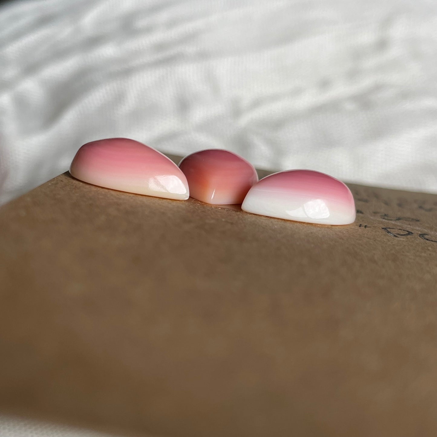 Pink Conch Cabochon - PC33 E0FBF0CF-035F-481E-997A-A0B174337561 Brandedandwild.com