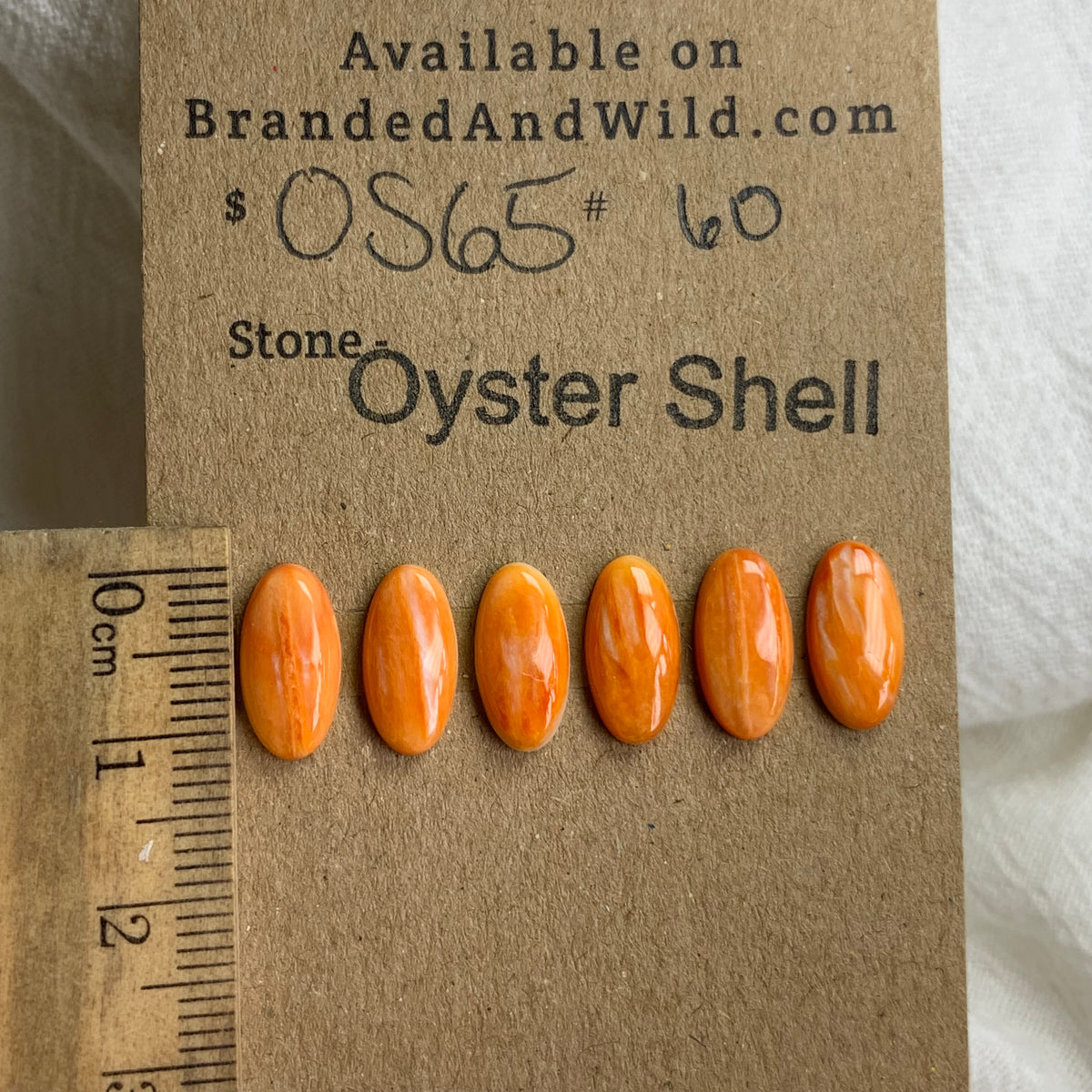 Oyster Shell Cabochon - OS82 E1275311-06AF-4D76-8502-58C148F3A66C Brandedandwild.com