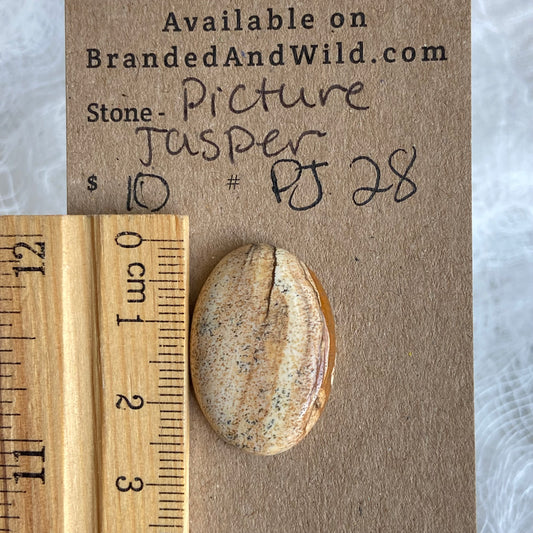 Picture Jasper Cabochon - PJ28