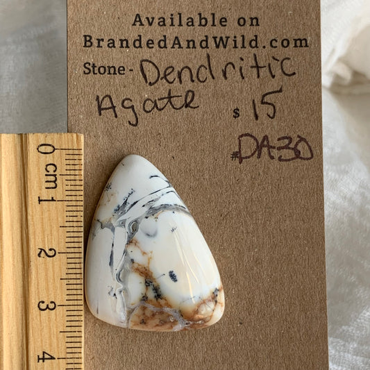 Dendritic Agate Cabochon - DA30