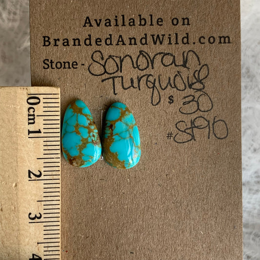 Sonoran Turquoise Cabochon - ST90