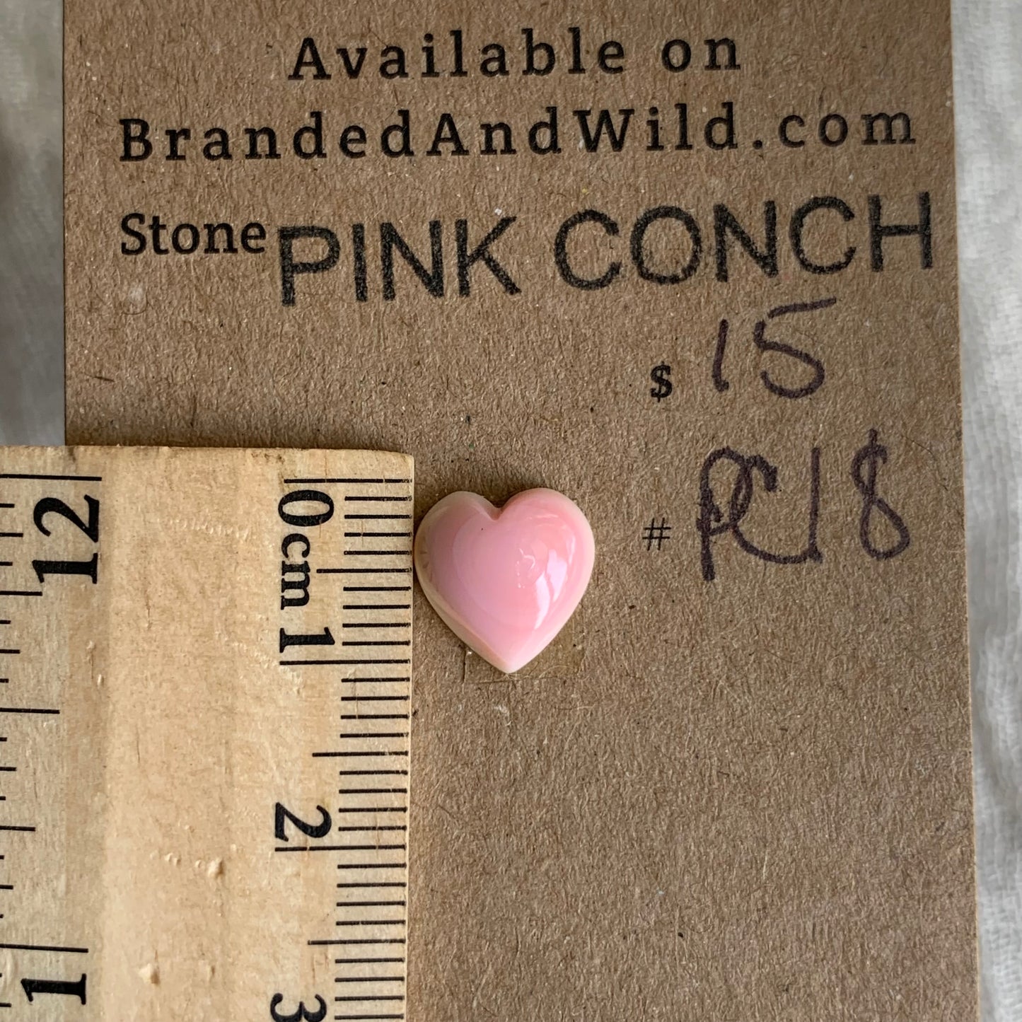 Pink Conch Cabochon - PC18