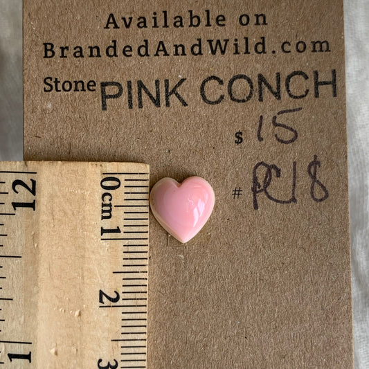 Pink Conch Cabochon - PC18