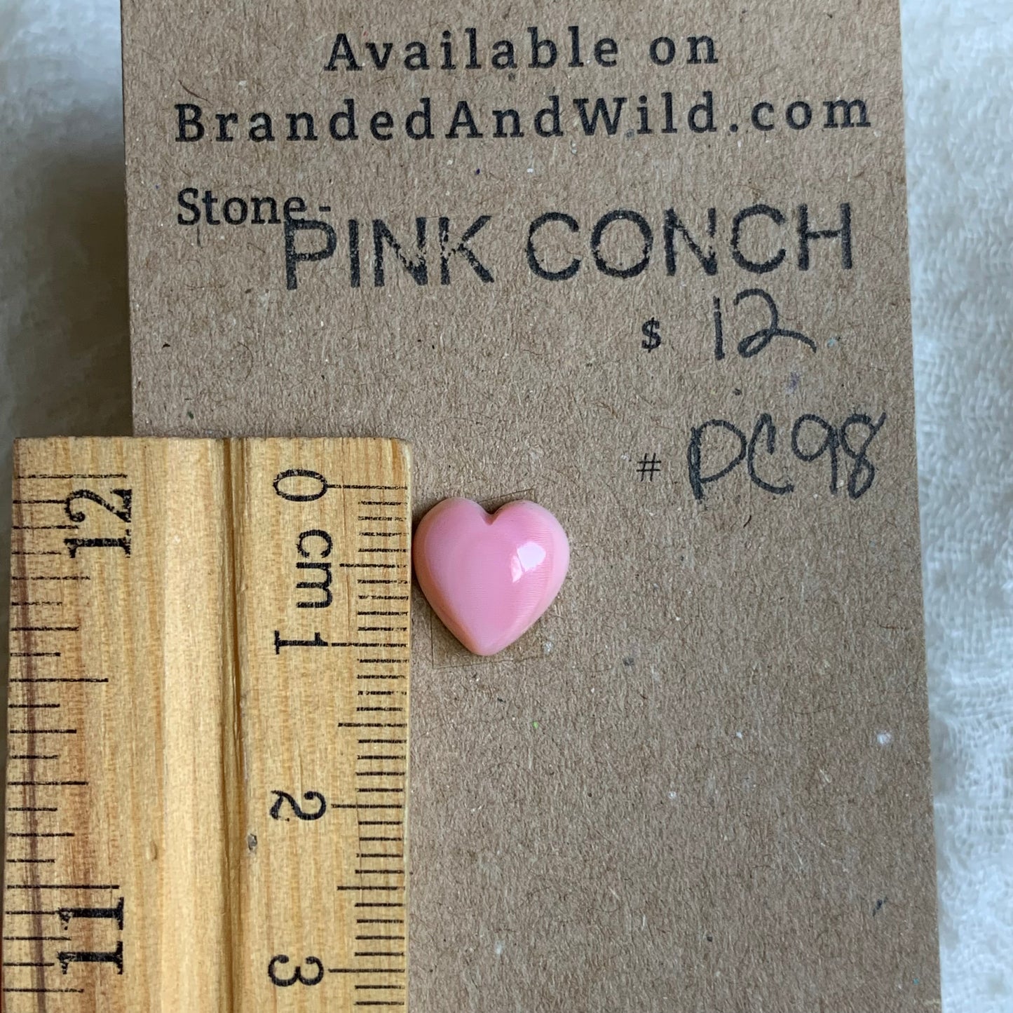 Pink Conch Cabochon - PC98