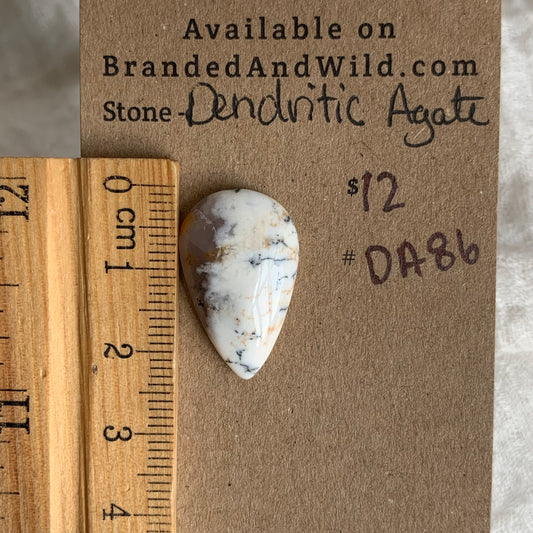 Dendritic Agate Cabochon - DA86
