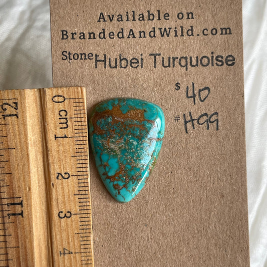 Hubei Turquoise Cabochon - H99 E1A90163-3092-4D06-A7E9-228CE3000BB1 Brandedandwild.com