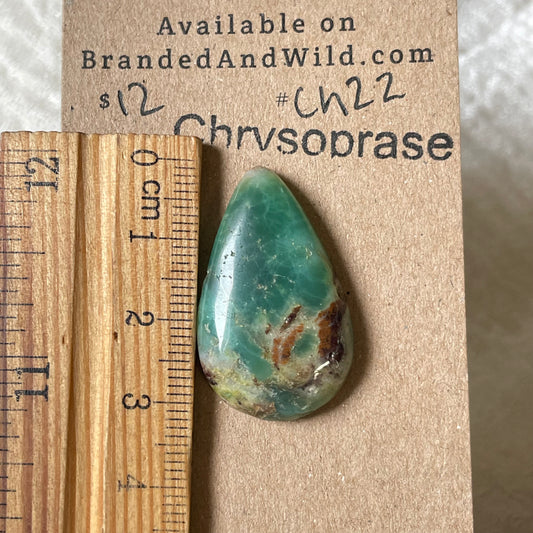 Chrysoprase Cabochon - Ch22 E1DA3CD1-7723-4284-AFD4-E4EA9093188D Brandedandwild.com