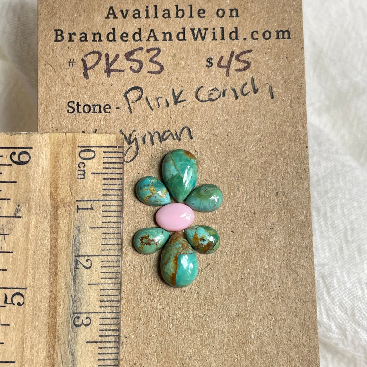 Pink Conch / Kingman Turquoise Cabochon - PK53