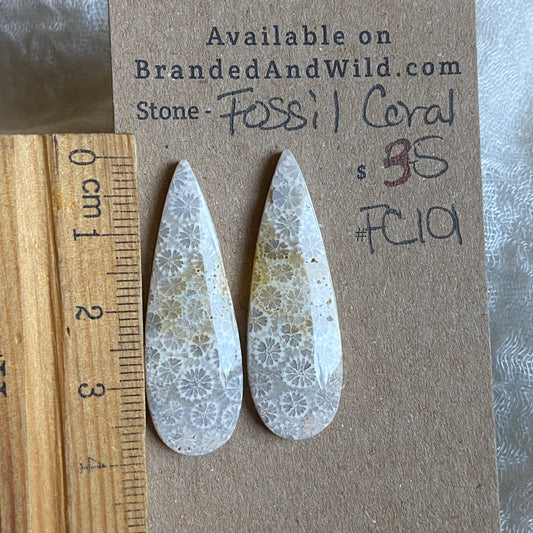 Fossil Coral Cabochon - FC101 E2040E7B-3917-4C2A-985D-560E3CD09F7C Brandedandwild.com