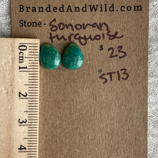 Sonoran Turquoise Cabochon - ST13