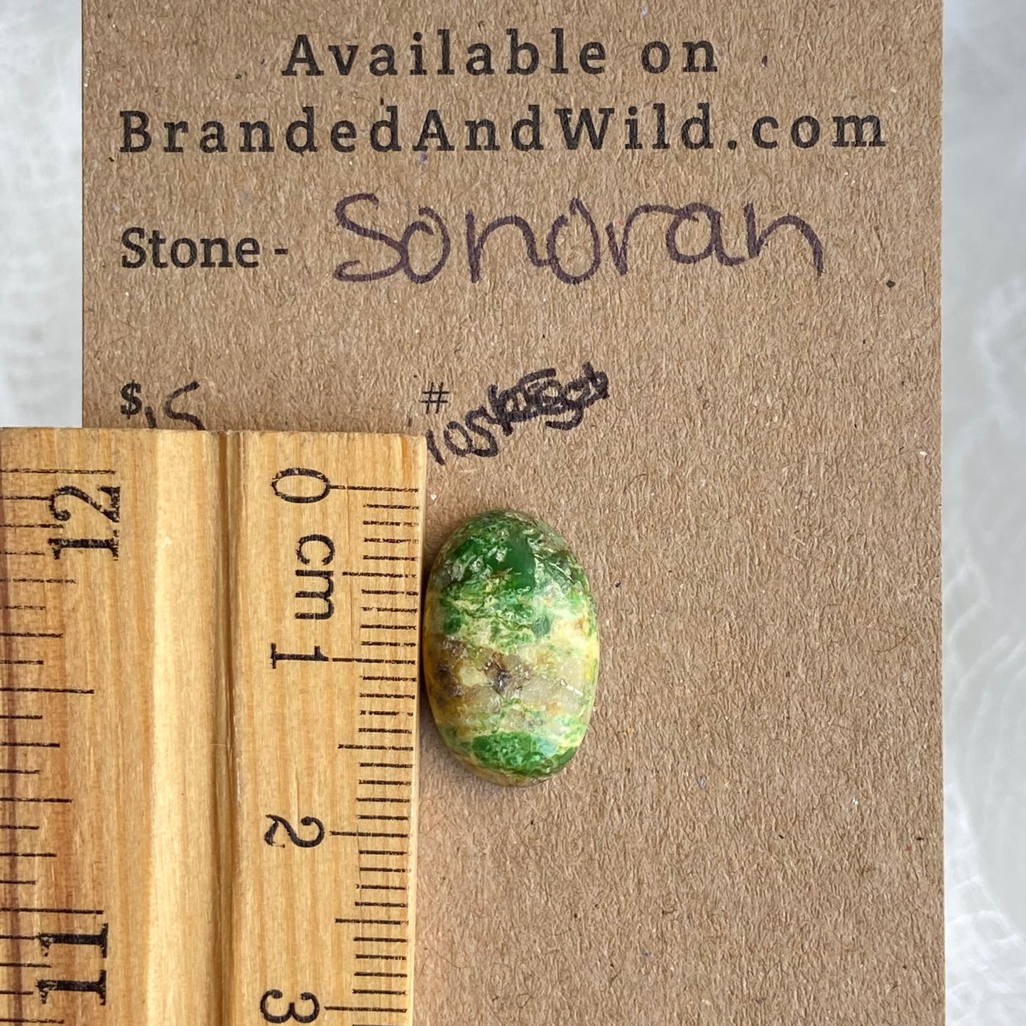 Sonoran Turquoise Cabochon - ST105