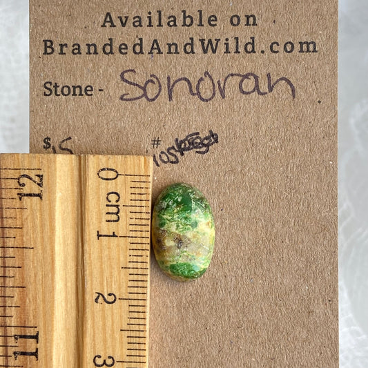 Sonoran Turquoise Cabochon - ST105