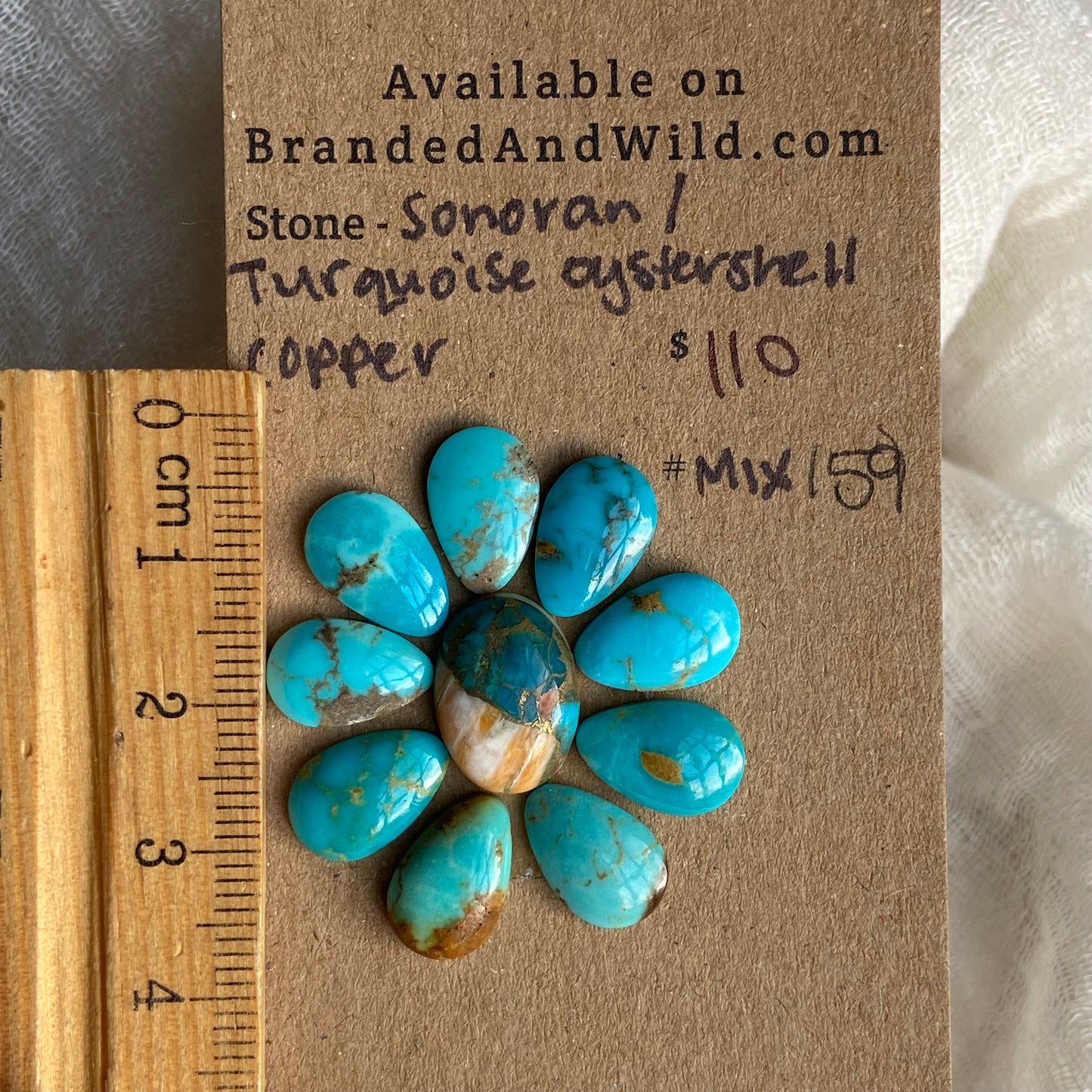 Sonoran /  Oyster Shell Cabochon - MIX159