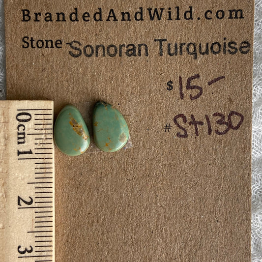 Sonoran Turquoise Cabochon - ST130