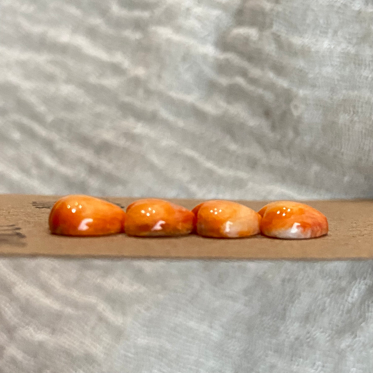 Oyster Shell Cabochon - OS99
