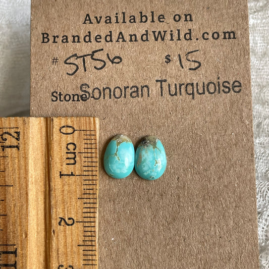 Sonoran Turquoise Cabochon - ST56 E24ACFEE-42D9-4C6B-946B-5D63876FBFAB Brandedandwild.com