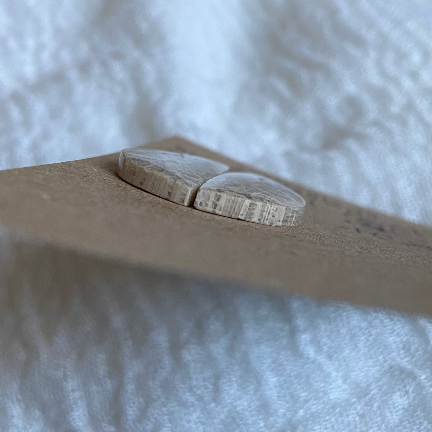Fossil Coral Cabochon - FC84